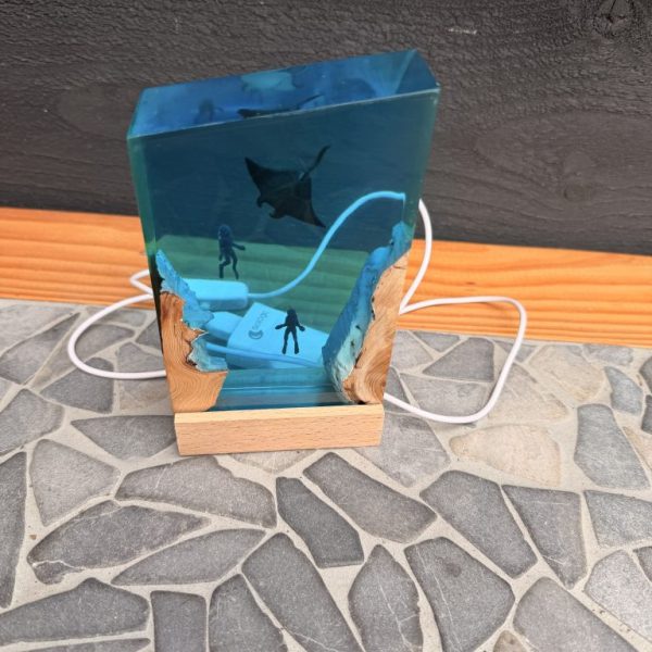 Epoxy Lamp met Duikers en Rog