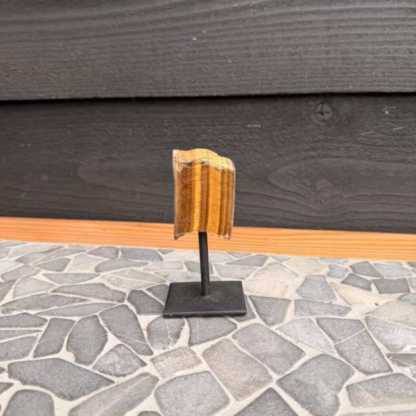 Tijgeroog op Standaard
