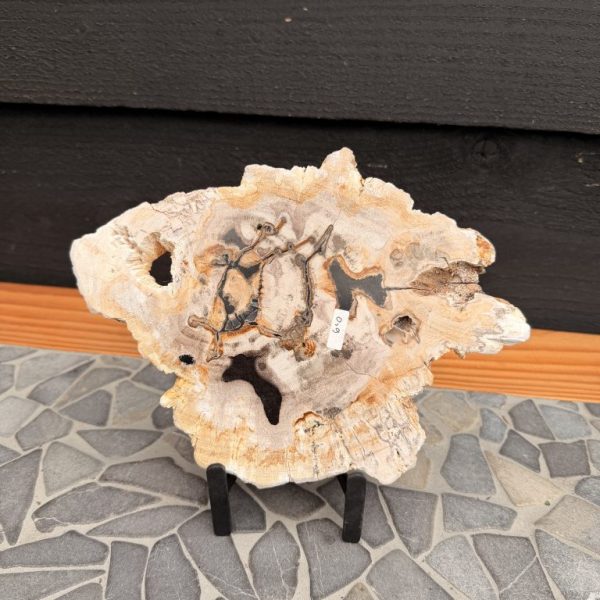 Schijf Versteend Hout