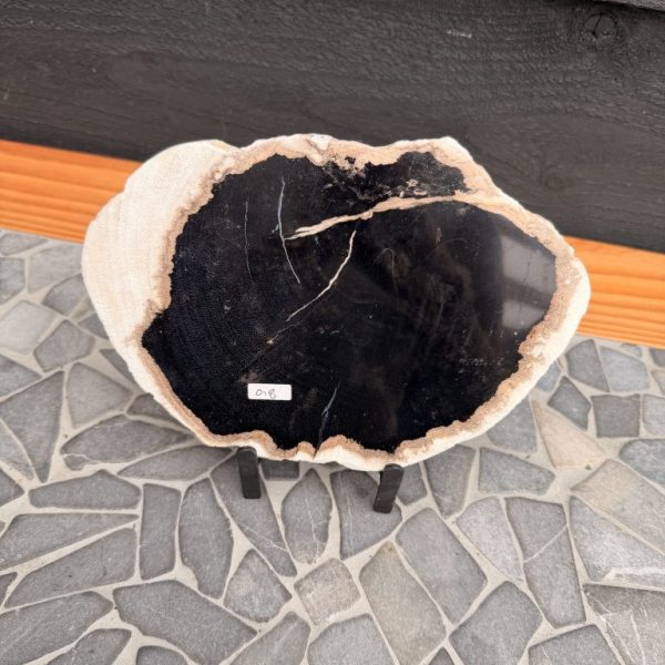Schijf Versteend Hout