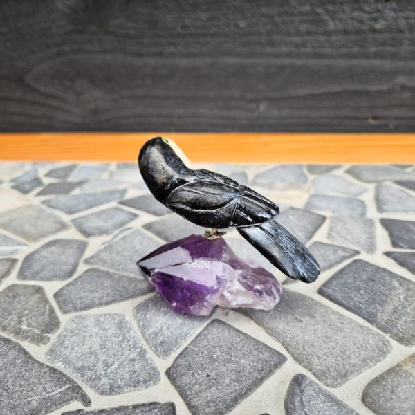 Amethist met Toekan