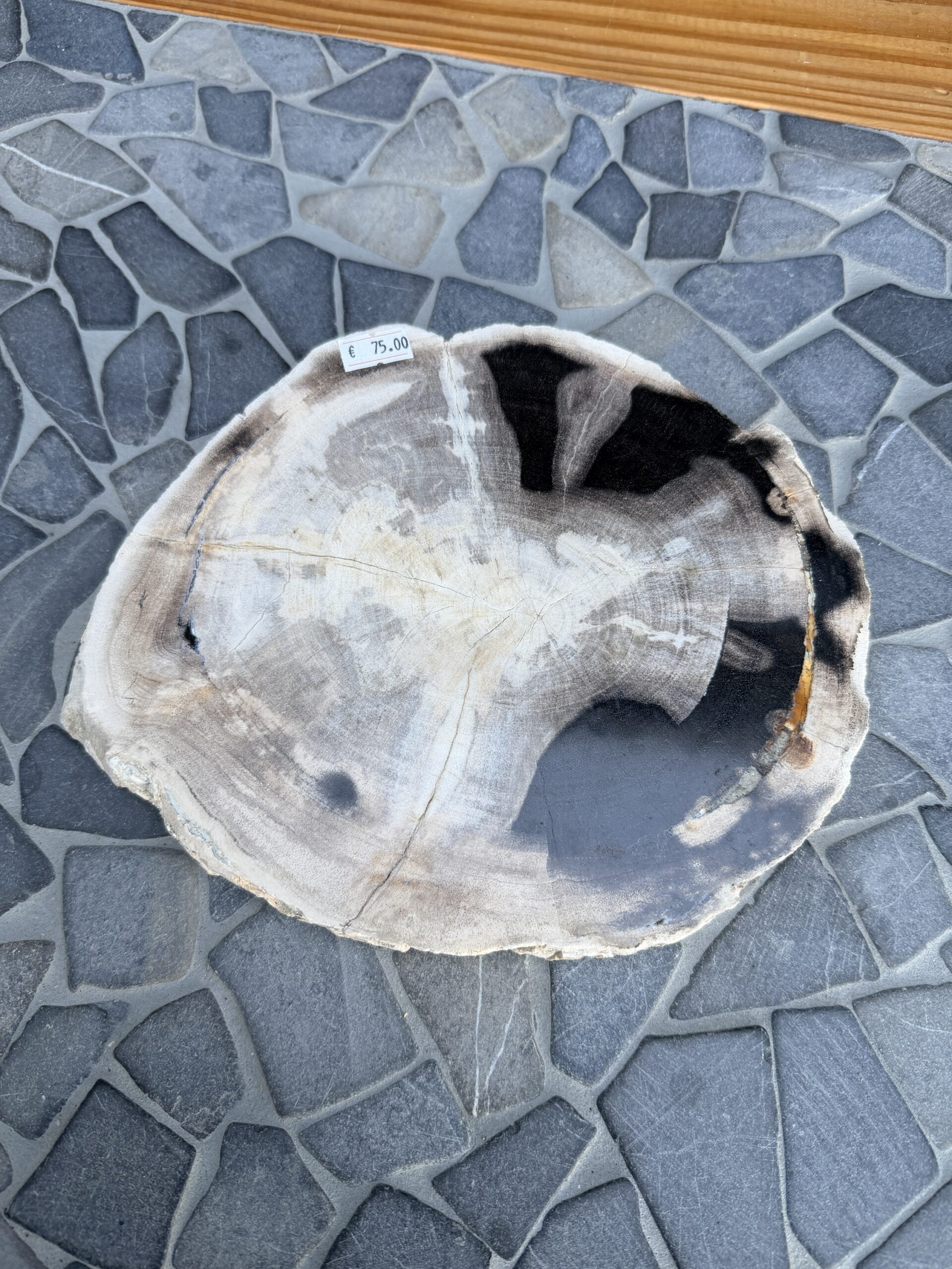Versteend Hout Schijf Gepolijst - Afbeelding 2